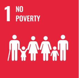 SDG 1