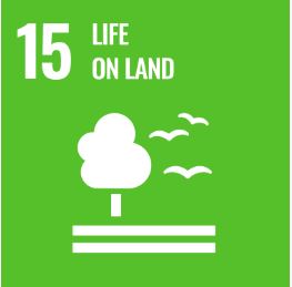 SDG 8