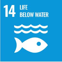 sdg 6